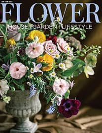 Flower - January/February 2024﻿